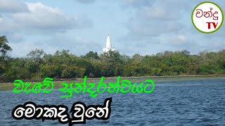 Lake and natural beauty / වැවක ස්භාවික සෞන්දර්ය - chandu tv bibila