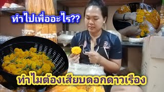 ทำไมต้องใช้ไม้เสียบดอกดาวเรืองเตรียมพร้อมกำขาย