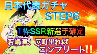 【たたかえドリームチーム】サッカー日本代表ガチャ STEP6 1枠SSR新選手確定 若島津、反町出ればコンプリート!!【キャプテン翼】【キャプツバ】