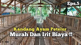 Pembuatan Kandang Ayam Petelur - Episode 5