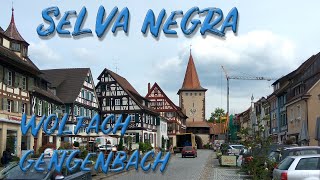 Selva Negra🇩🇪. GENGENBACH sus preciosas calles son un ESCENARIO DE PELICULA📽️