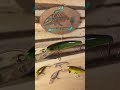 Every Fisherman Needs This Jerk Bait Lure