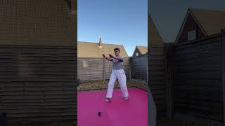 POV: you train with a dog🙃#karate #kata #viral #doggo #viralvideo #training #karateka #viralvid