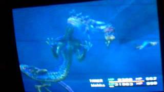 Final Fantasy X - Wakka Vs Shinryu