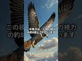 【地球上最速の鳥ハヤブサpart2】 shorts 動物 雑学