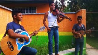 Trio Suspiro Huasteco de El Gavilán Ixcatepec Veracruz, Julio 2017