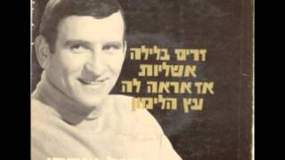 ישראל יצחקי שר סינטרה- זרים בלילה