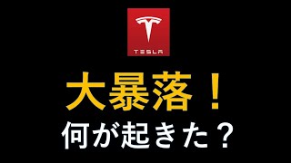 テスラ株　なぜだ！　１０％大暴落　決算説明会で何が起きたのか？