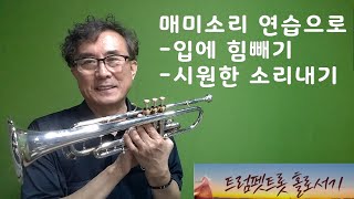 매미소리 연습으로 입에 힘빼기와 시원한 소리내기ㅣ트트홀ㅣ010-5365-1944