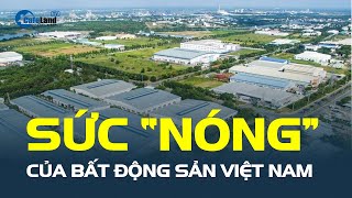 Hãng thông tấn Mỹ phân tích SỨC “NÓNG” của bất động sản Việt Nam | CafeLand