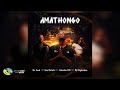 De Soul, Soa Mattrix, NATASHA MD and DJ Maphorisa - Amathongo (Official Audio)