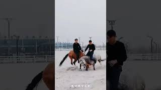 Battle of two horses🔞😱|نبرد دو اسب😱🔞#horse #animals #funny #war #cavalo #caballo #حصان #خنده #اسب