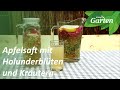 Erfrischendes Sommergetränk mit Apfelsaft, Holunderblüten und Kräutern | MDR Garten