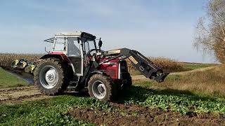 Massey Ferguson 375. Orka Jesien 2022.