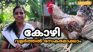 കോഴി വളര്‍ത്തല്‍ രസകരമാക്കാം | Kozhi Valarthal | Chicken Farming in Kerala | Mini's Lifestyle