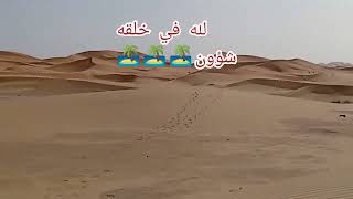 اكتشفوا جمال الصحراء عبر رمال مرزوݣةالساحرة🏝️🏝️🏝️🏝️🏝️🏝️🐫🐪🐫