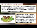 【有益スレ】貧乏な人どんなごはん食べてますか？貧困層の食事のリアル！【ガルちゃんgirlschannelまとめ】【経験談