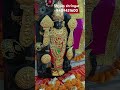 dwarkadhish 9409451600 kanhaji krishnalover thakorjishringar dwarkadhish lalan viral shorts