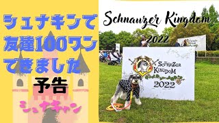 【予告】SCHNAUZER KINGDOM 2022 OPENING