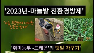 '2023년 마늘밭 친환경방제' , #홍산마늘밭 무름병 방제대책, #양파밭 친환경 방제