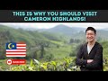 This is why you should visit Cameron Highlands, Malaysia