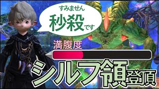 プロトカーバンクルの空腹が限界を迎える前にジャンピングアスレチックのシルフ領を完全制覇できるか？