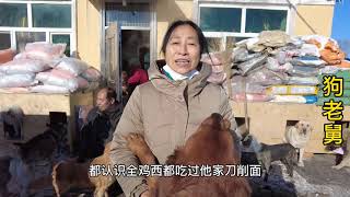 20210129   -   Dog rescue in China   当地宠物店的爱心大姐，又捐赠二千元狗粮，感谢对流浪狗的关心