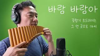 바람 바람아(정서주) 팬플룻 연주(Panflute)