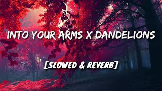 Into Your Arms X Dandelions [Slowed + Reverb]
