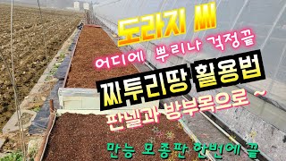 틀밭 쉽게 만드는 방법  대박~버려진 판넬과 방부목 활용 도라지(만능)모종판 만들기~