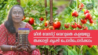 മീൻ തല വെറുതെ കളയല്ലേ | Tomato Farming With Special Fish Meal | Special Tips For Tomato