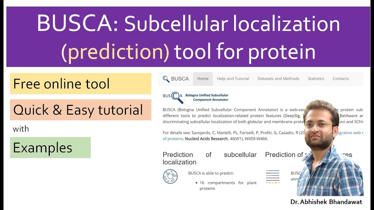 BUSCA: Protein Subcellular Localization Prediction Tool. Tutorial - YouTube