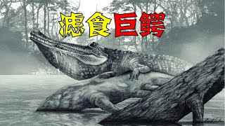 与普鲁斯鳄同行，滤食的鳄类巨头：莫拉氏鳄与南美的巨鳄盛世（Mourasuchus）