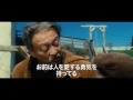 映画『リトル・ボーイ　小さなボクと戦争』予告編