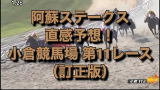 阿蘇ステークス 直感予想！ 小倉競馬場  第11レース （訂正版）