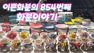 9월9일 #이쁜화분 854번째 화분이야기