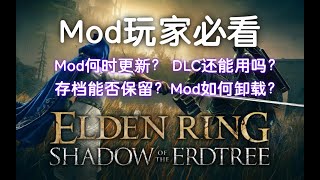 【艾尔登法环DLC】mod玩家必看！存档能否保留？mod还能用吗？（无缝联机、诚实商人、法魂mod）