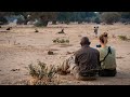 A Wild Adventure in Mana Pools - African Bush Camps