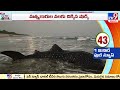 విశాఖ తీరంలో వేల్‌ షార్క్‌.. visakhapatnam tv9