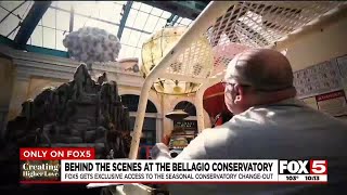 Behind the scenes at the Bellagio Conservatory