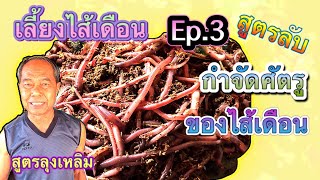 EP.3 ศัตรูการเลี้ยงไส้เดือน หมดกังวลด้วยสิ่งนี้ การเลี้ยงไส้เดือน | สวนอุ่นดิน [ Th- Eng Subtitles]