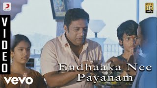 Dhoni Telugu - Endhaaka Nee Payanam Video | Ilayaraja | Prakash Raj
