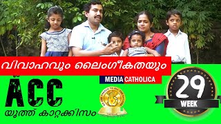 യൂത്ത് കാറ്റക്കിസം (വിവാഹവും ലൈംഗീകതയും 08) : ACC (WEEK - 29) II വിശ്വാസപരിശീലനം II തൃശൂർ