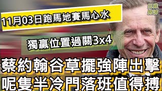 【賽馬貼士】香港賽馬 11月3日 跑馬地馬場 獨贏位置過關3x4| 蔡約翰谷草擺強陣出擊 呢隻半冷門落班值得搏