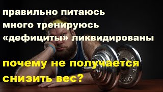 Правильно питаюсь, много тренируюсь, «дефициты» ликвидированы: почему не получается снизить вес?