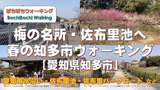 #88 (南加木屋駅発→寺本駅着)梅の名所・佐布里池へ　春の知多市ウォーキング【名鉄のハイキング電車沿線コース：2022春コース1】(22/03/12：愛知県知多市・一般向・約10.0km)