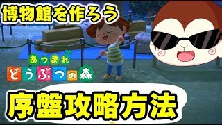 あつまれどうぶつの森 序盤攻略方法！何をすればいいの？フータ登場と博物館作成　あつもり　シソッパ