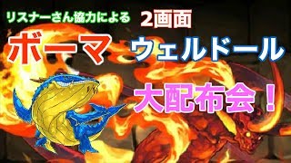 （パズドラ）#184 ボーマ＆ウェルドール配布会！！〜ボーママルチB側編成難易度低め〜