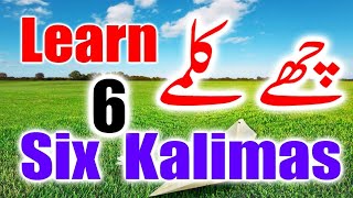 Six 6 Kalimas in Islam in Arabic, English & Urdu - Learn Six Kalimas - Beautiful Zikir & Dua