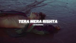 Tera Mera Rishta  - Mustafa Zahid [slowed down] (Lo-fi Mix Lo-fi 2307)